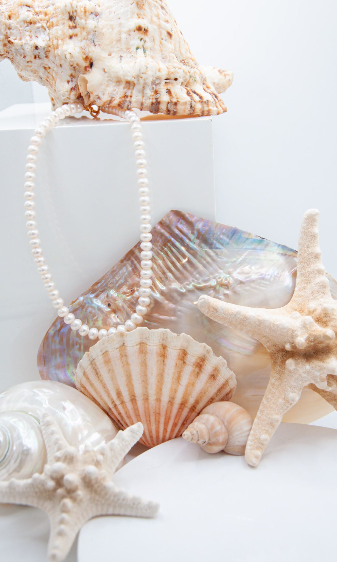 Button-Shaped Freshwater Pearl Necklace with Gold Plate Toggle Clasp - 125